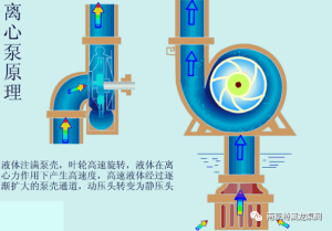 20250627145030 20250627145030